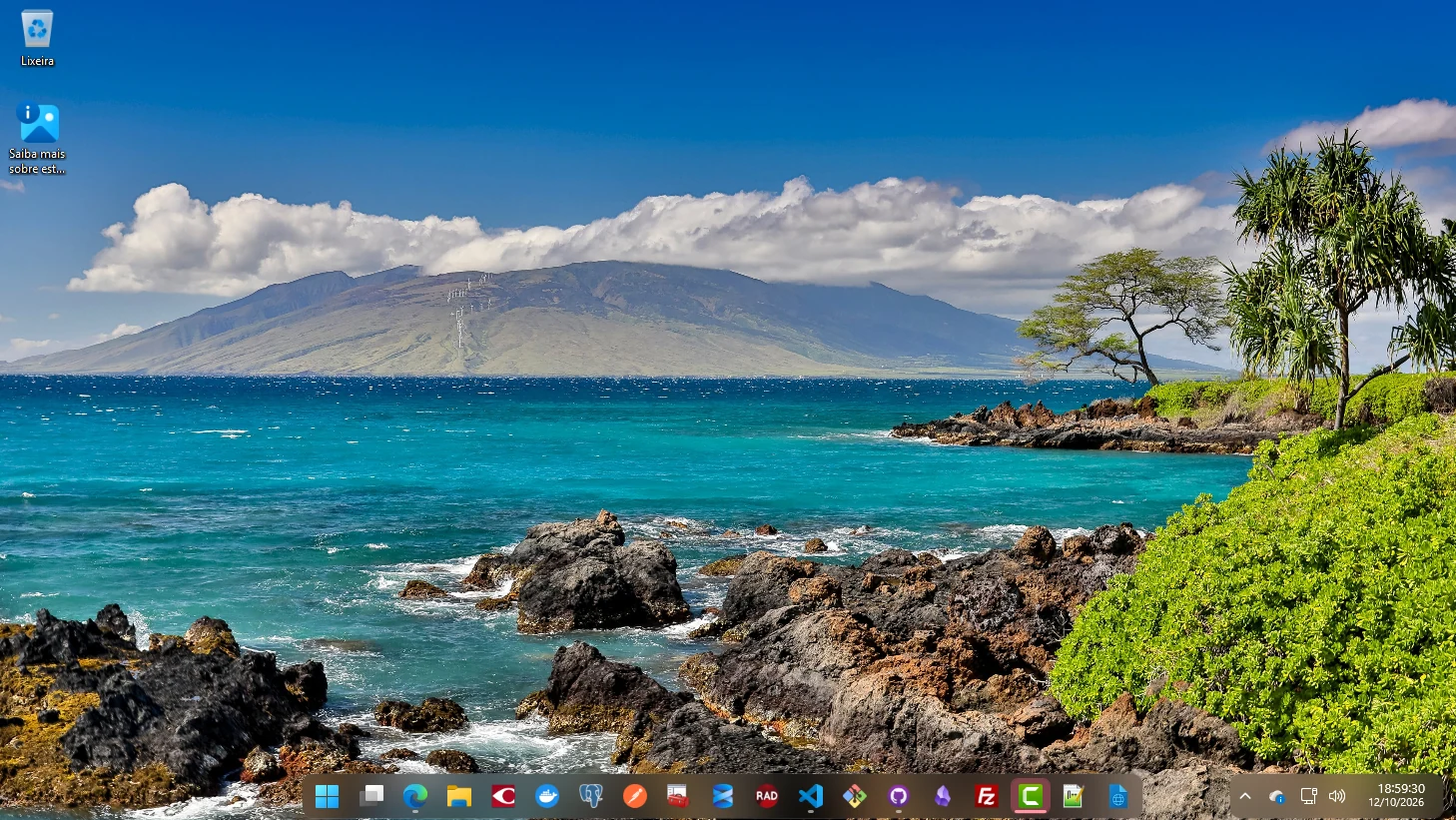 Windows 11 desktop with the floating dock and the separate tray